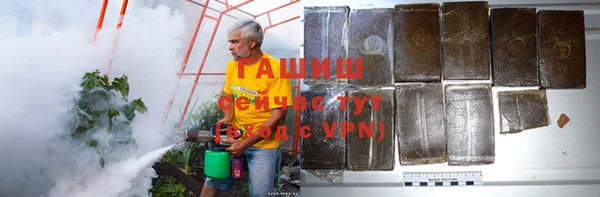 шишки Горно-Алтайск