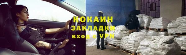 шишки Вязьма