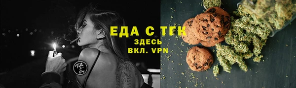 шишки Горно-Алтайск