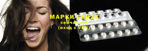 шишки Вязьма