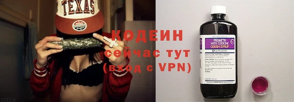 гашик Вяземский