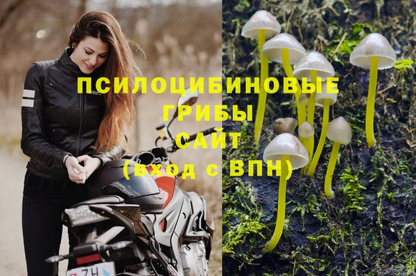 прущий лед Вязники