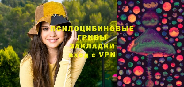 первитин Горнозаводск