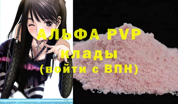 шишки Горно-Алтайск