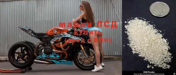 шишки Вязьма