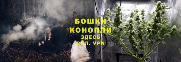 шишки Вязьма