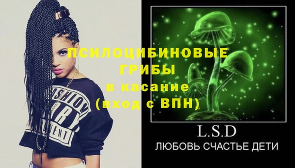 гашик Вяземский