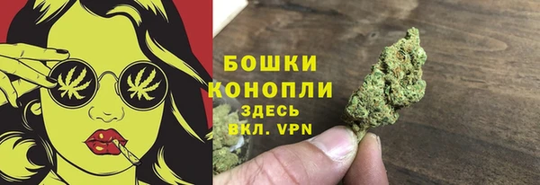 шишки Вязьма