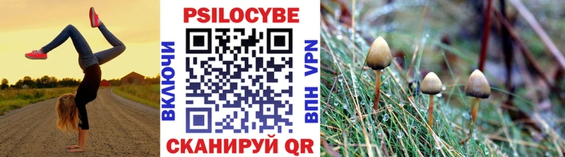 Галлюциногенные грибы GOLDEN TEACHER  сколько стоит  нарко площадка Telegram  Заозёрный  МЕГА  