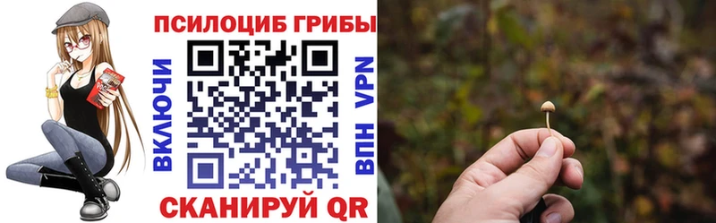 Псилоцибиновые грибы MAGIC MUSHROOMS Заозёрный